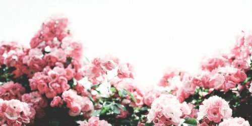 RydelRP's profile banner image