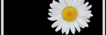 AidaDiamand's profile banner image