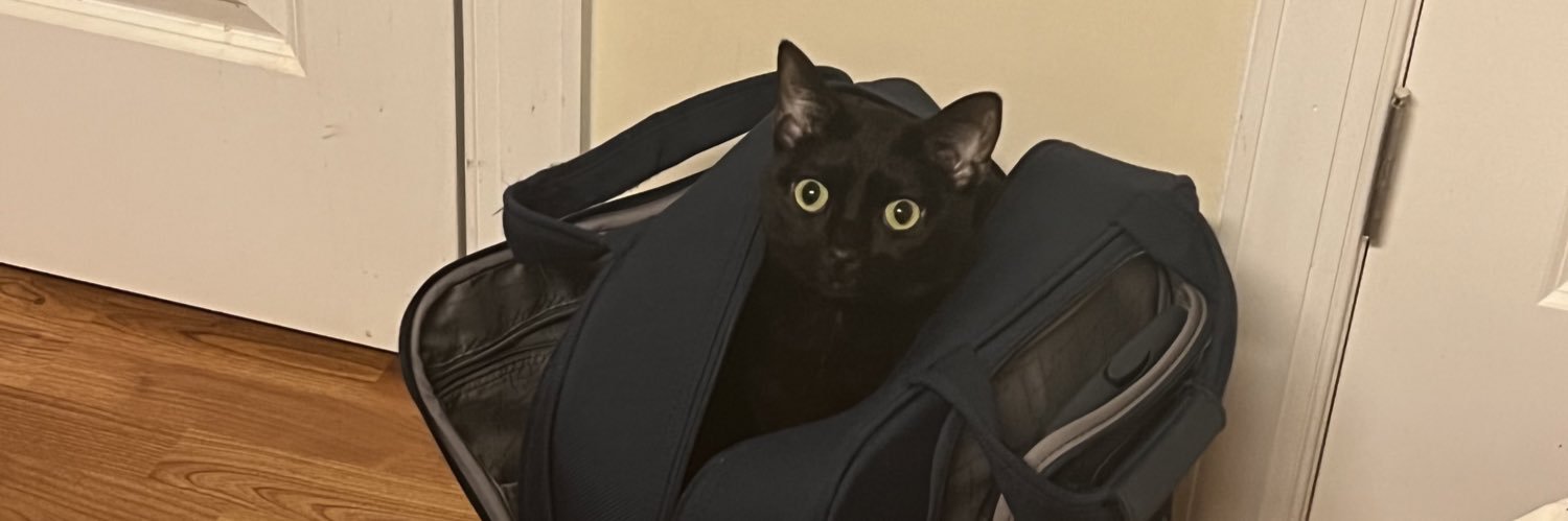 fooolishman's profile banner image