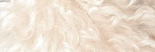 ogurando13's profile banner image