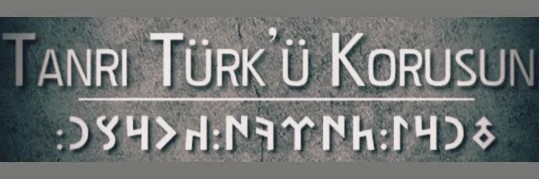 TEryalcin's profile banner image