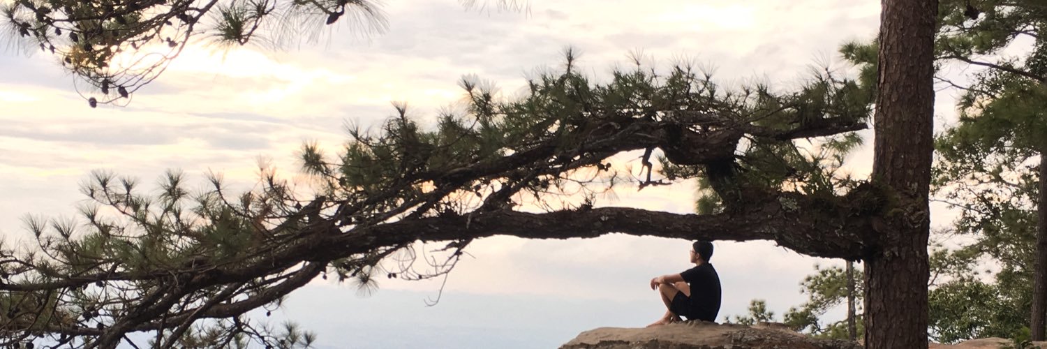 P_Nuay's profile banner image