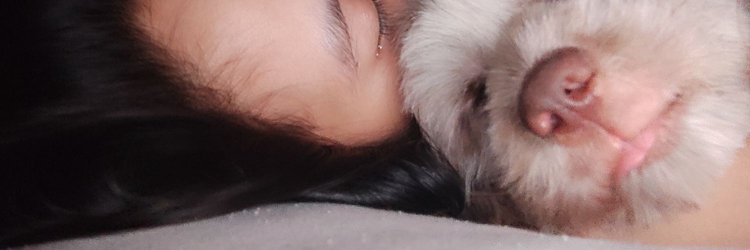 naomigree's profile banner image