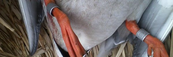 sudsy911 Profile Banner