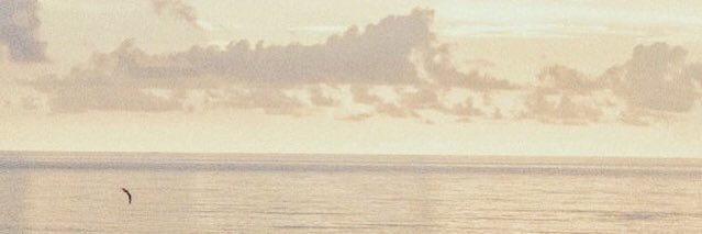 amjadyq's profile banner image