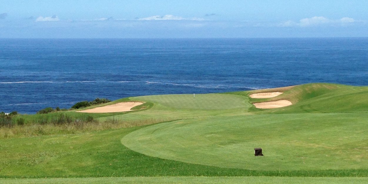 Ashleigh Buhai banner