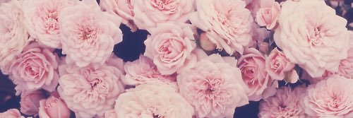 SelinaSezer's profile banner image