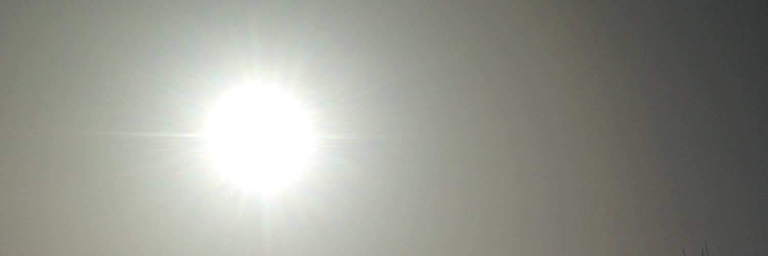 longbuckbynet's profile banner image