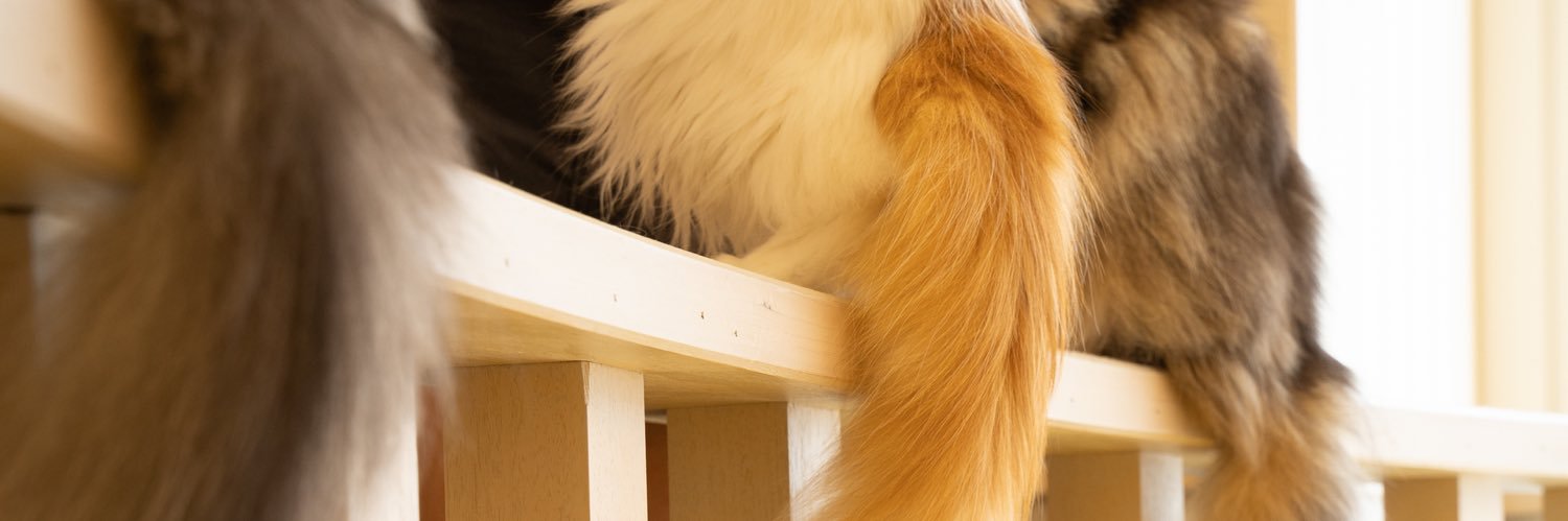 ゆうゆう@固定休(日祝)平日シフト制 banner