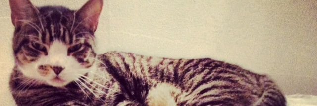 Yesi12's profile banner image