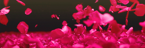 JESSI7583's profile banner image