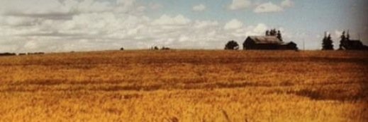 FYesUnearthing's profile banner image