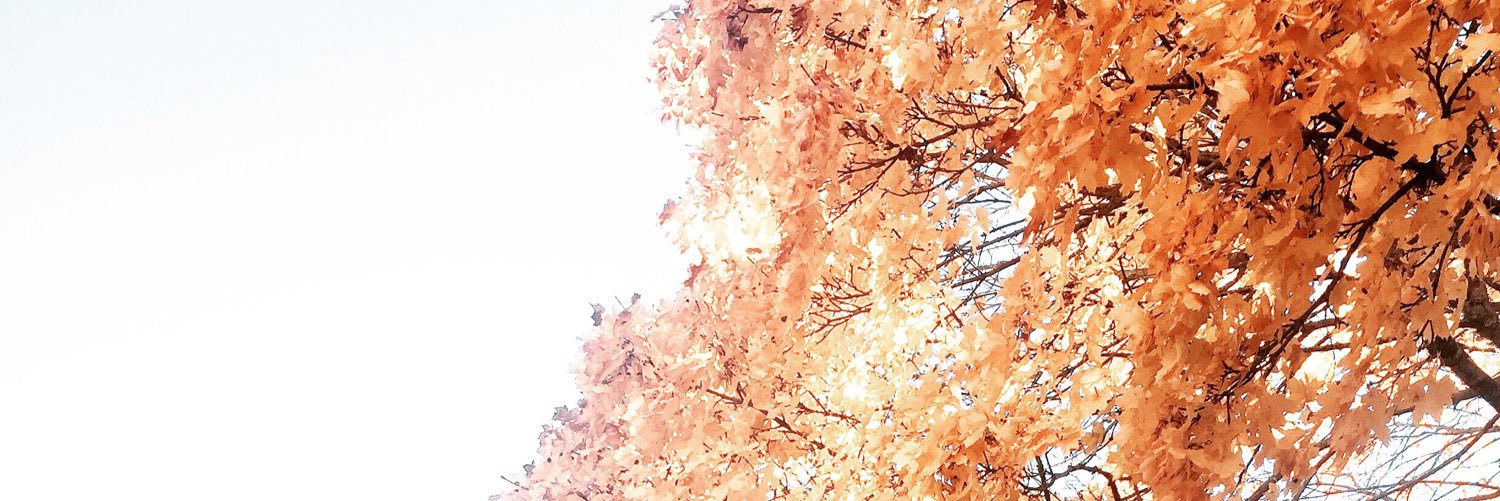 Ssagah's profile banner image