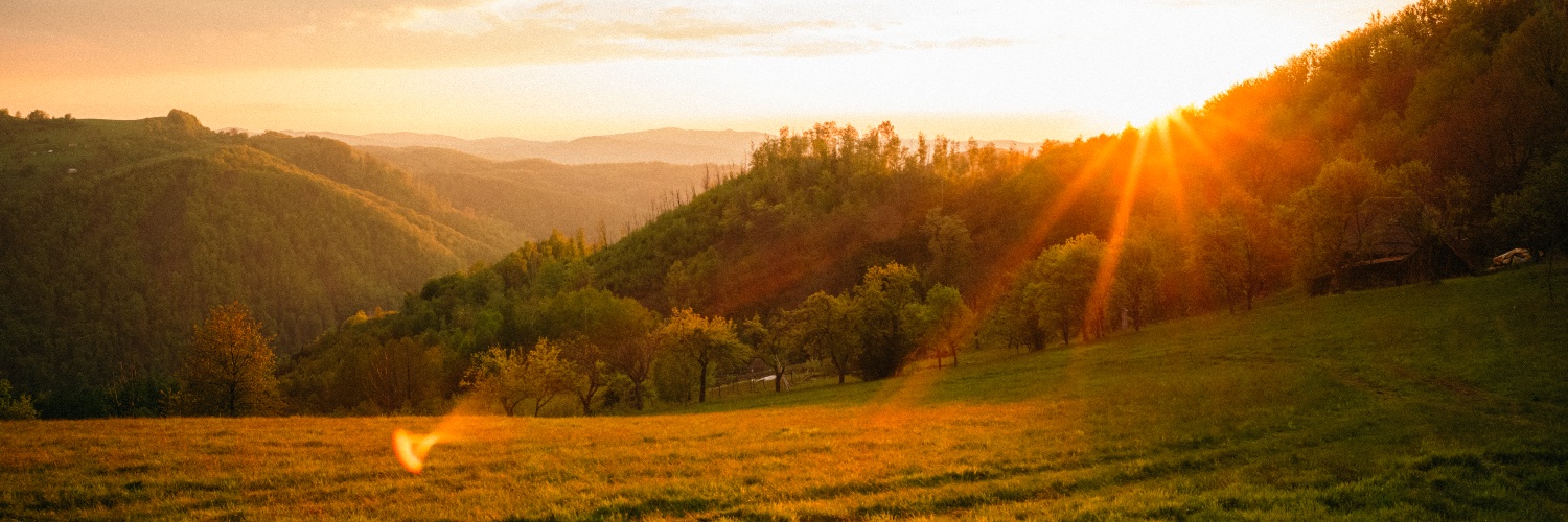 apuseni_count's profile banner image