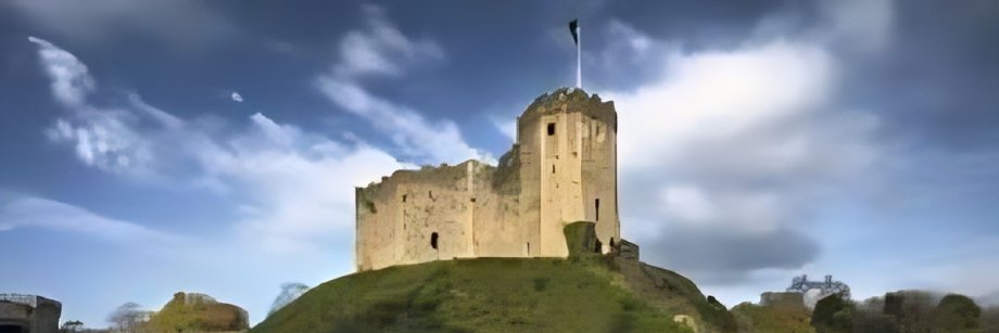 Adrian Keith Goldsworthy banner