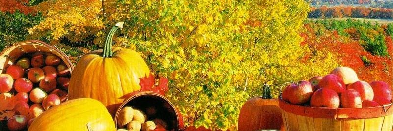 MrsRobertsSmith's profile banner image