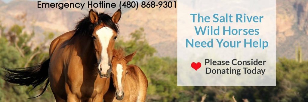 Salt River Wild Horse Management Group banner