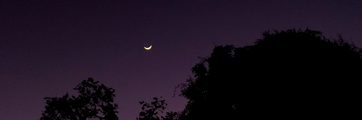 Lmdsjmn_'s profile banner image
