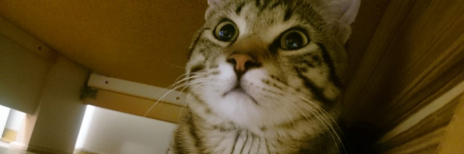 frkntnrtnr's profile banner image