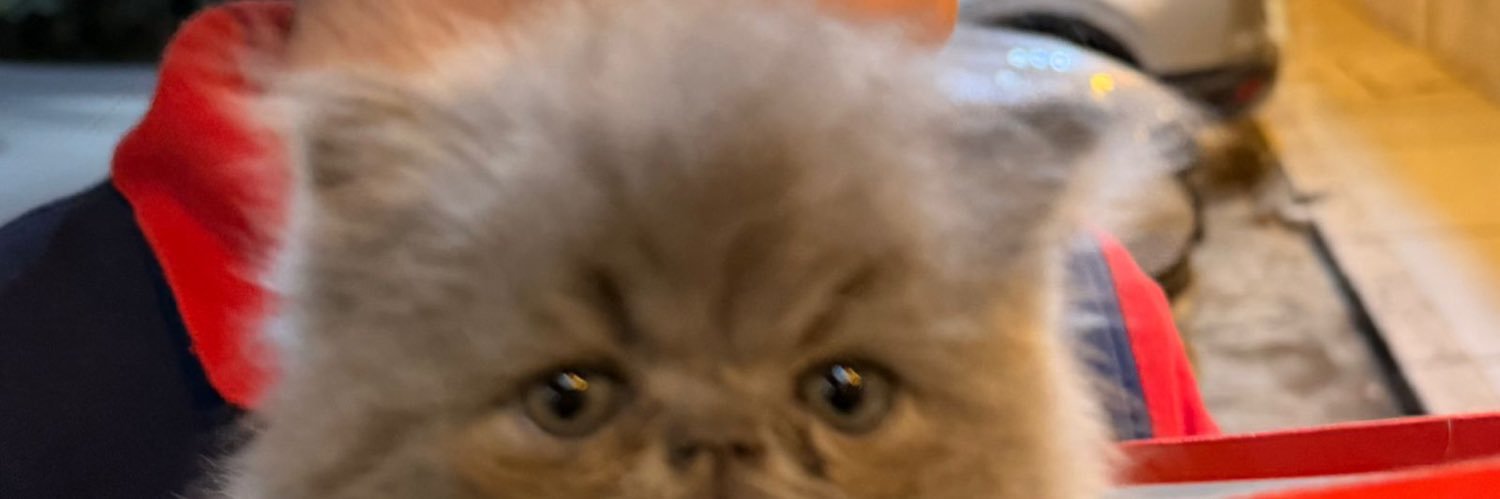 Sueemy_'s profile banner image