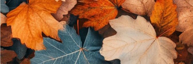 Solamente_A's profile banner image