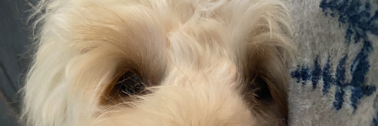 compete48's profile banner image