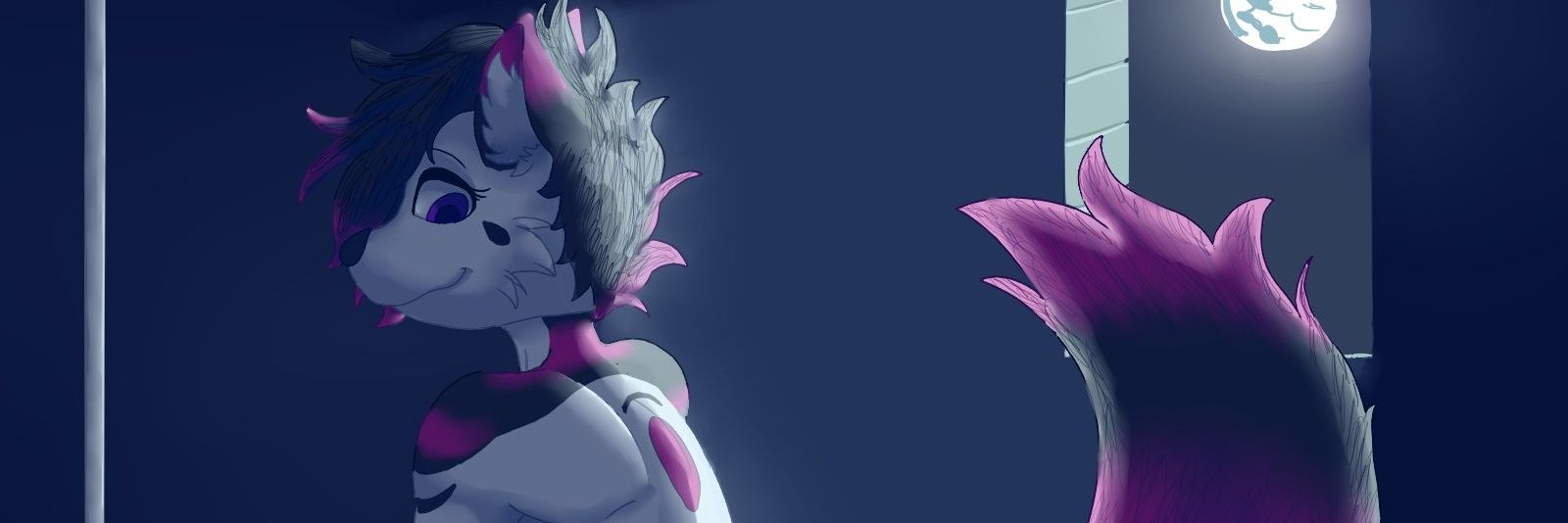 Vec972's profile banner image