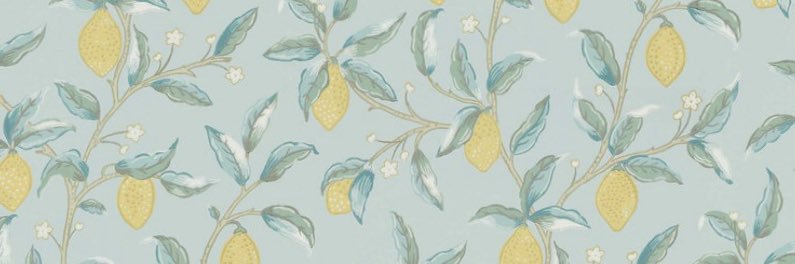 RachelMurgo's profile banner image