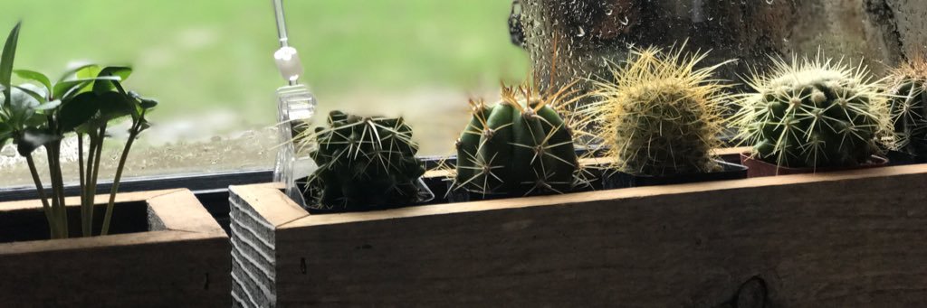 JustStabCesar's profile banner image