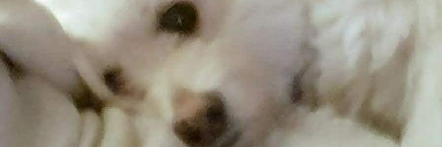 heatherfree_'s profile banner image