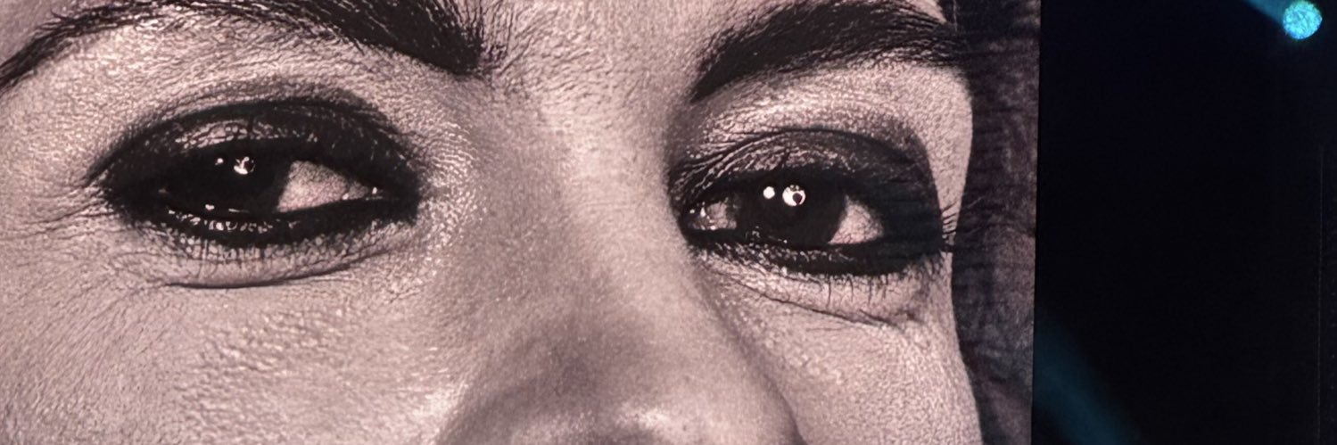eulalidta's profile banner image
