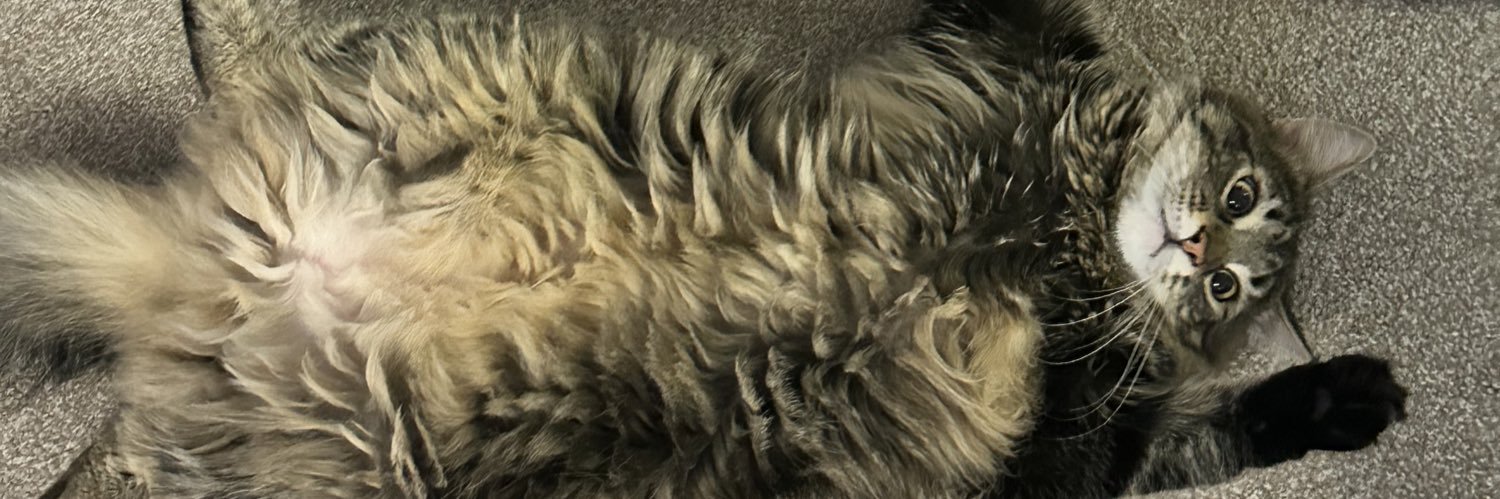 JSTMBSTE's profile banner image