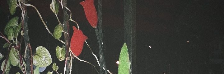sysaassa's profile banner image