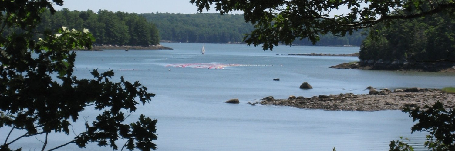Ann Gregg Skeet banner