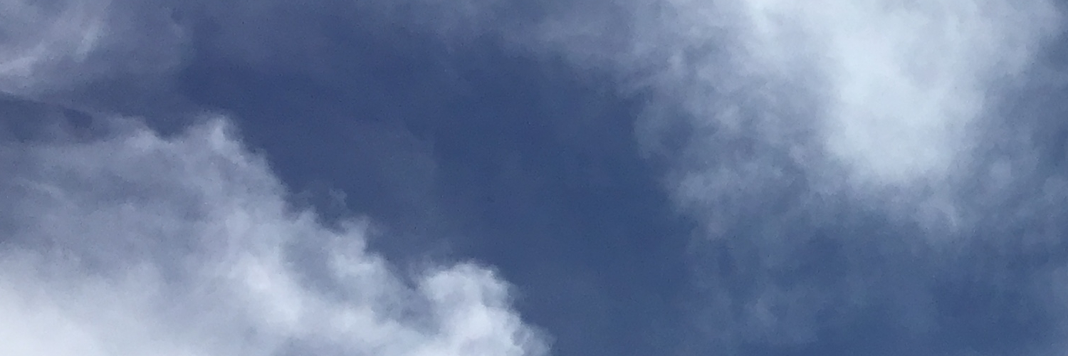 asleepyfrog's profile banner image