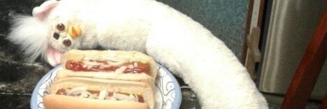 Npn1214's profile banner image