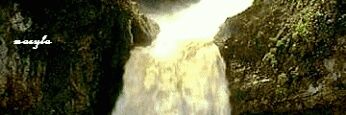 waelabed43's profile banner image