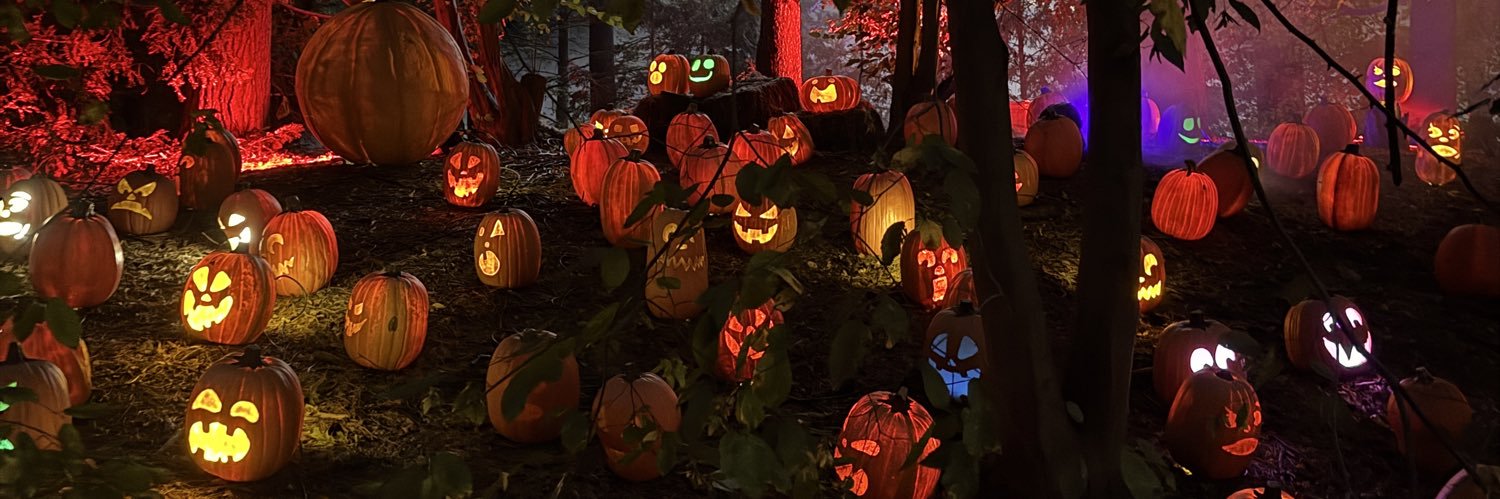 z_oconnor's profile banner image
