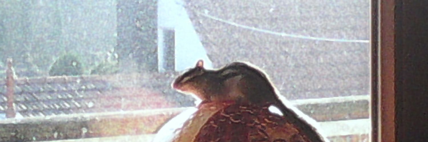 Obscurefighter's profile banner image