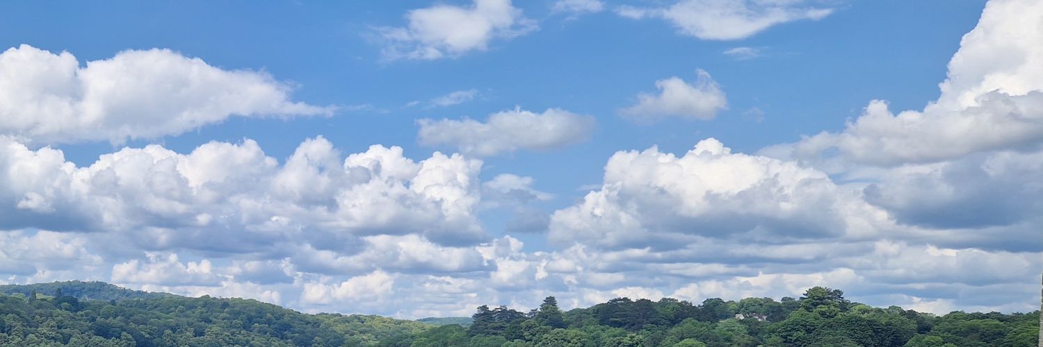 LouP101's profile banner image