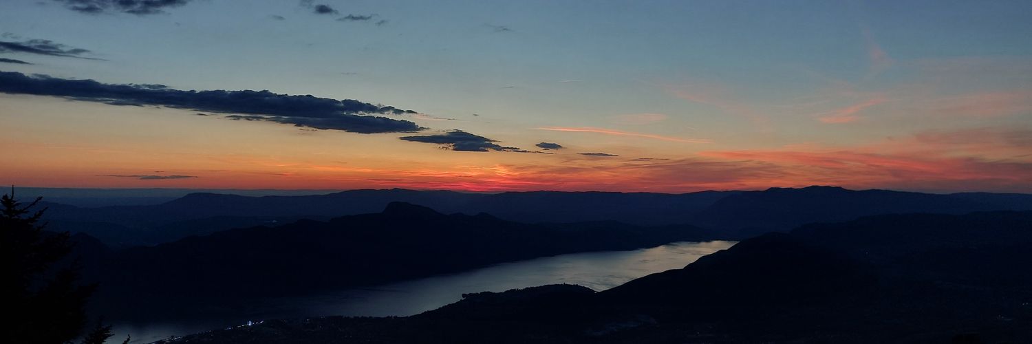 Spider74-Willi banner