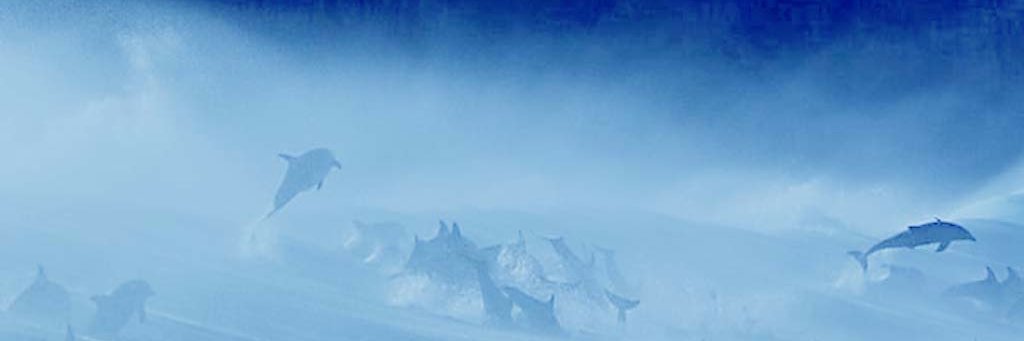 Mike_Shippers's profile banner image