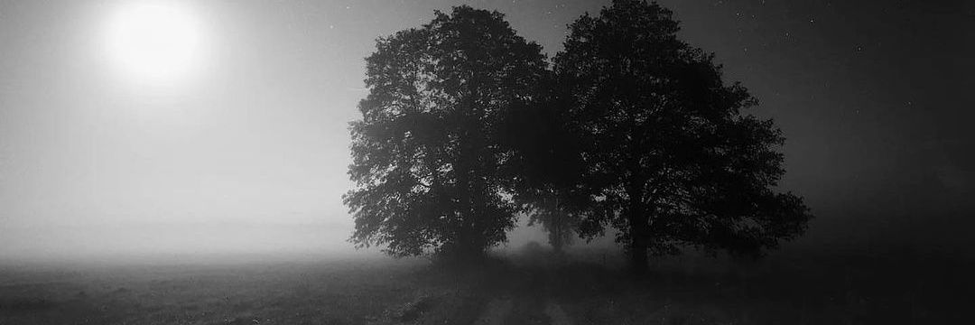chko33's profile banner image