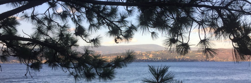 hannahreedd_'s profile banner image