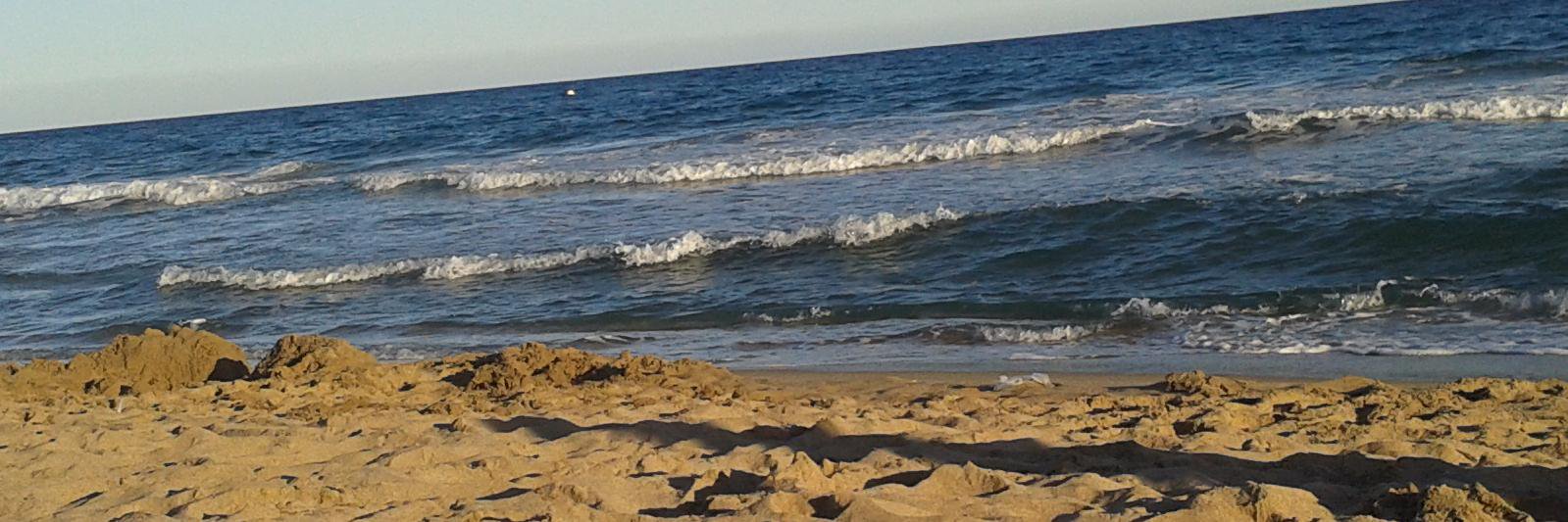 Eloy  BCN 🆓🔜 banner