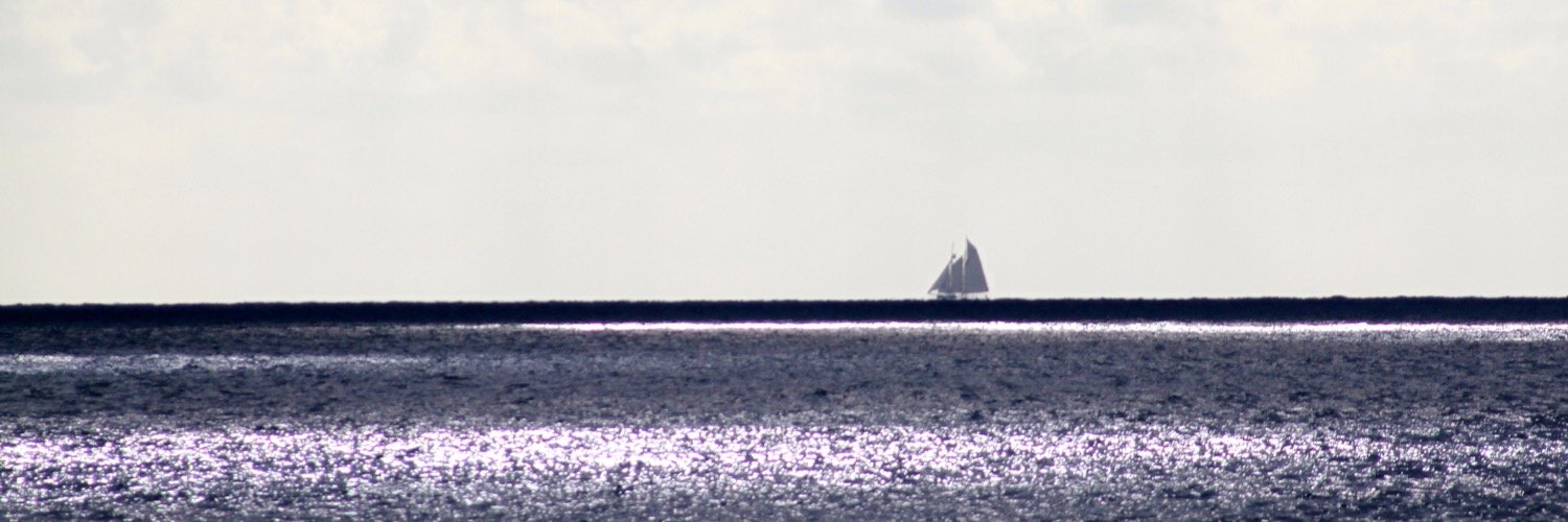 CeravoloMax's profile banner image