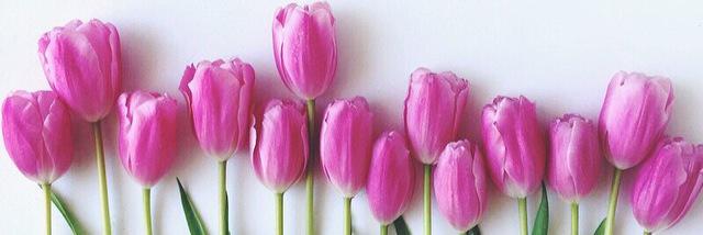Amy_Morrall's profile banner image