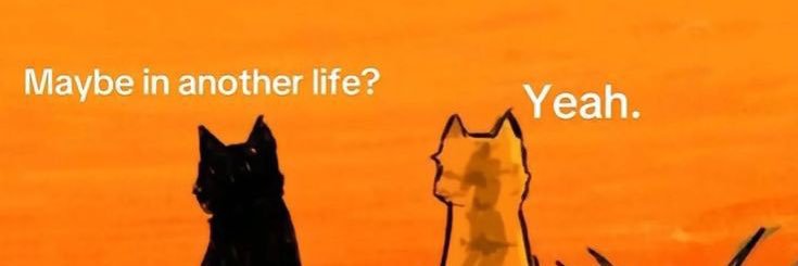 yourboynori's profile banner image