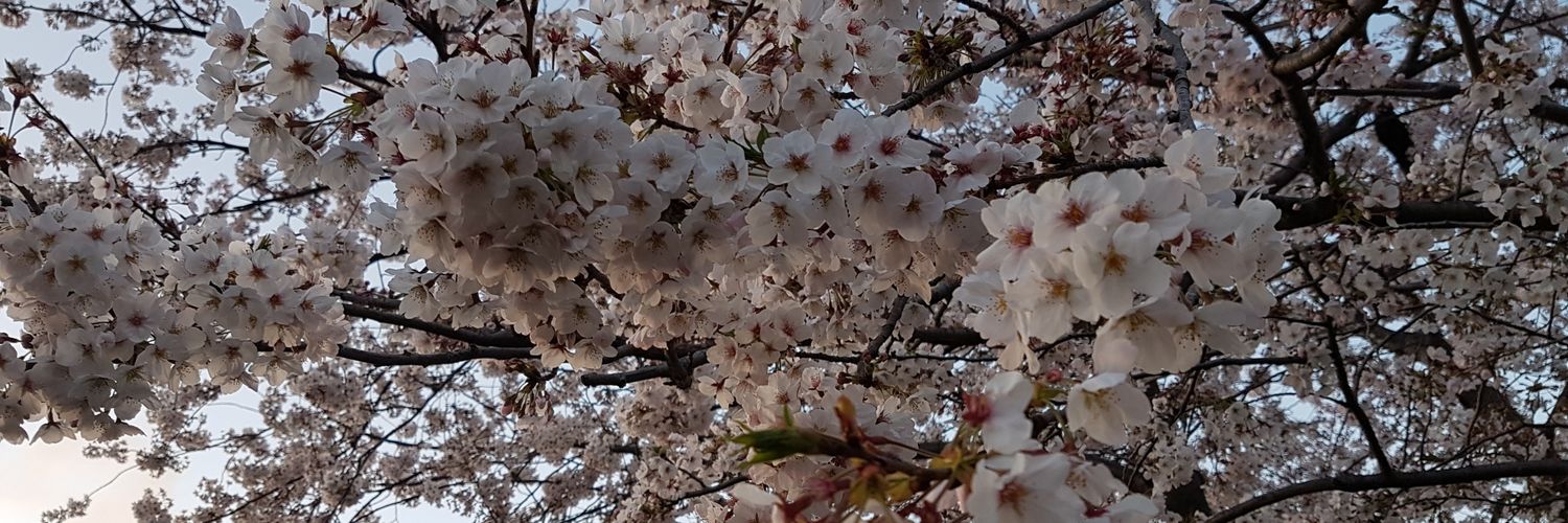 erf_da's profile banner image