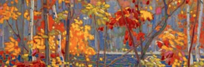 mariajmacchia's profile banner image